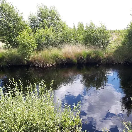 Haus Am Moor Villa Rehden Buitenkant foto